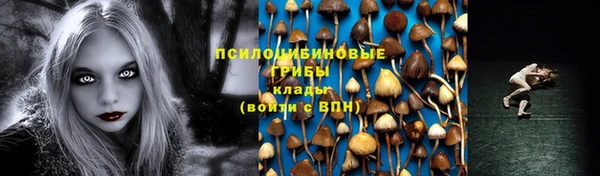сатива Абаза