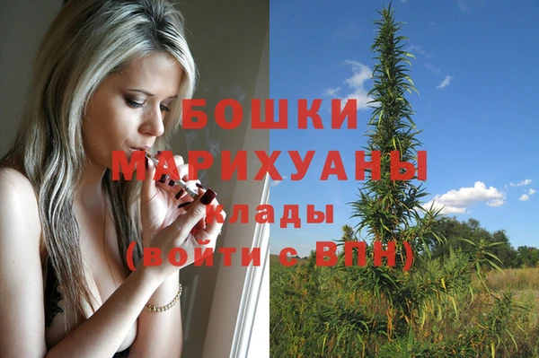 сатива Абаза