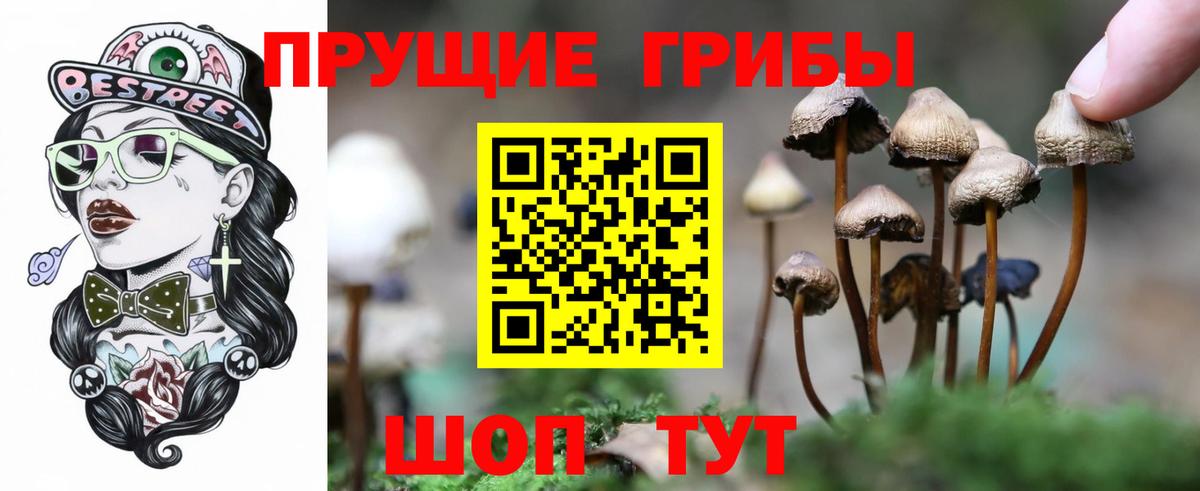 Псилоцибиновые грибы Psilocybine cubensis Салават